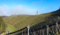 /album/kleeblattweg-3b-leutschach-5-dezember-2024/langegg-kleeblattweg-3b-05-12-2024-19-jpg/